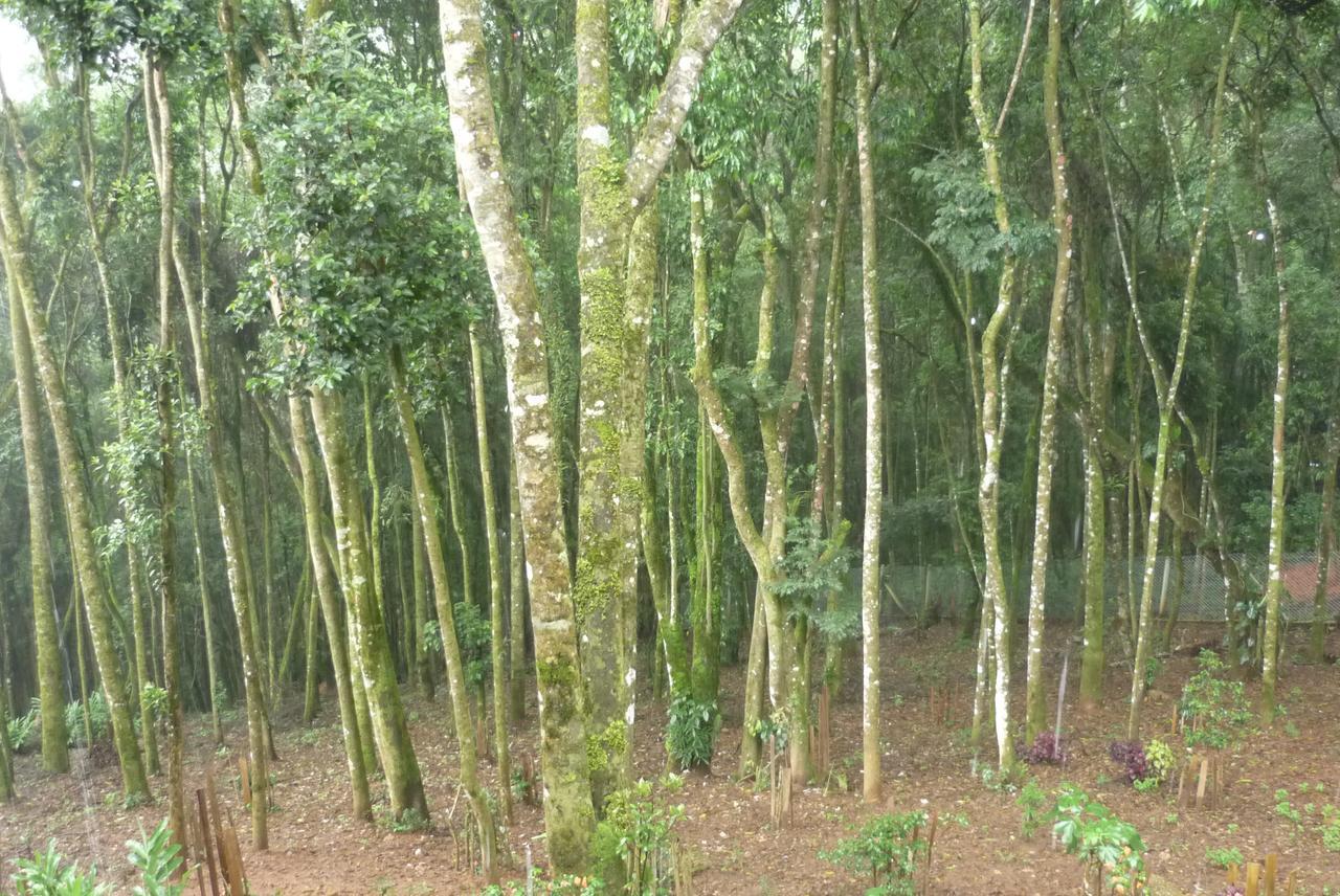 La Reserve Suites Monte Verde Kültér fotó
